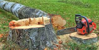 Mulching Services in Union Grove, WI