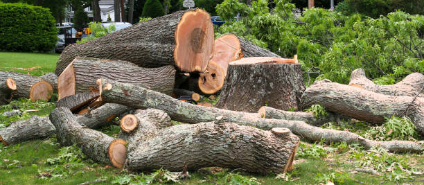 Leaf Removal in Union Grove, WI